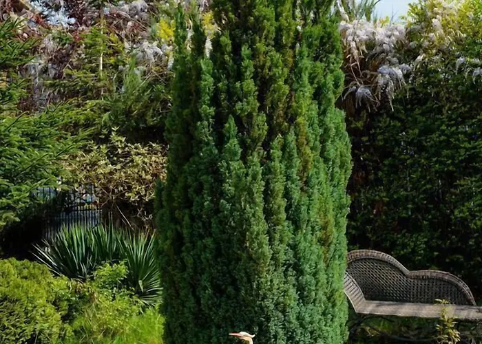 Maria Revas מלון 5*