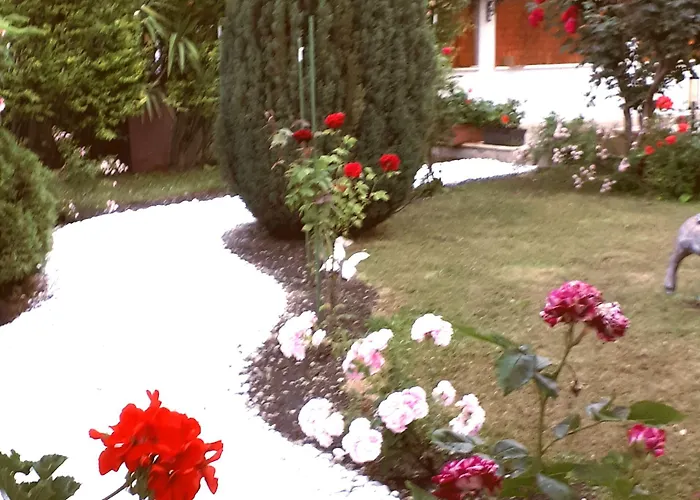 Maria Revas סאני ביץ'