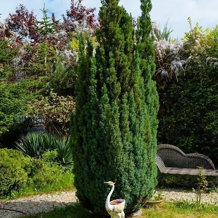 Maria Revas 酒店 5*