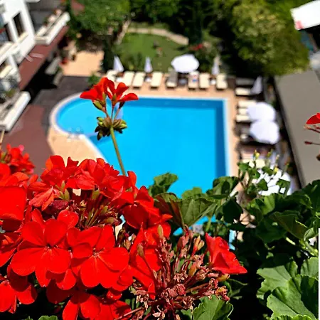 ماريا ريفاس فندق 5*